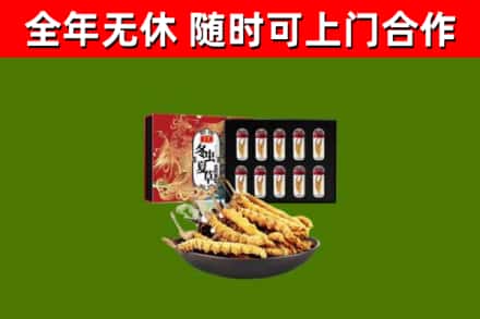 海盐回收冬虫夏草价格